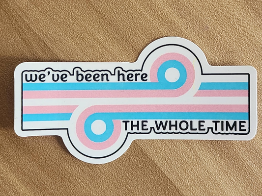Trans Flag Game Changer "We've been here the whole time" removable vinyl sticker