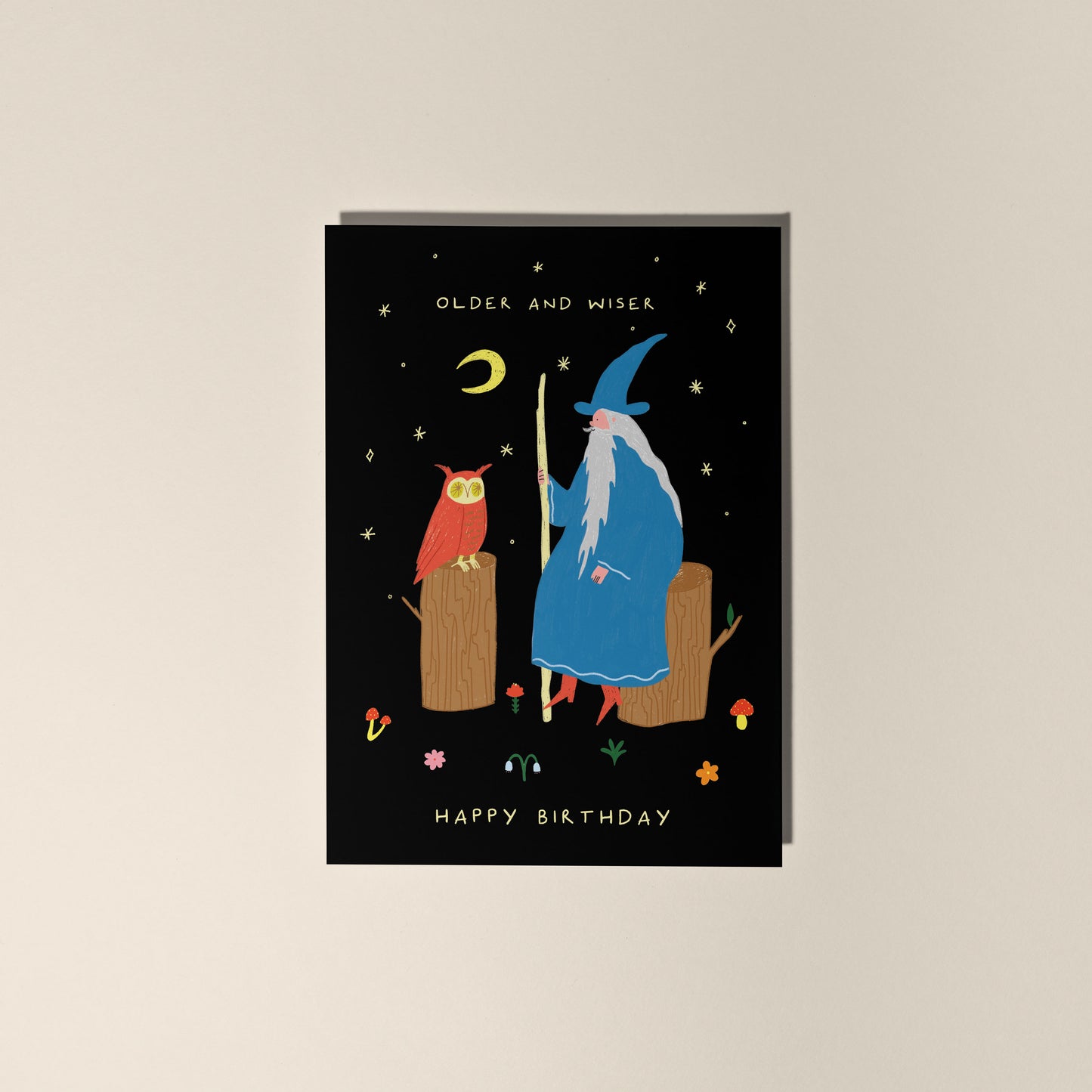 Older and Wiser Birthday greeting card