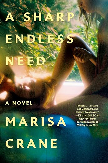 A Sharp Endless Need by Marisa Crane